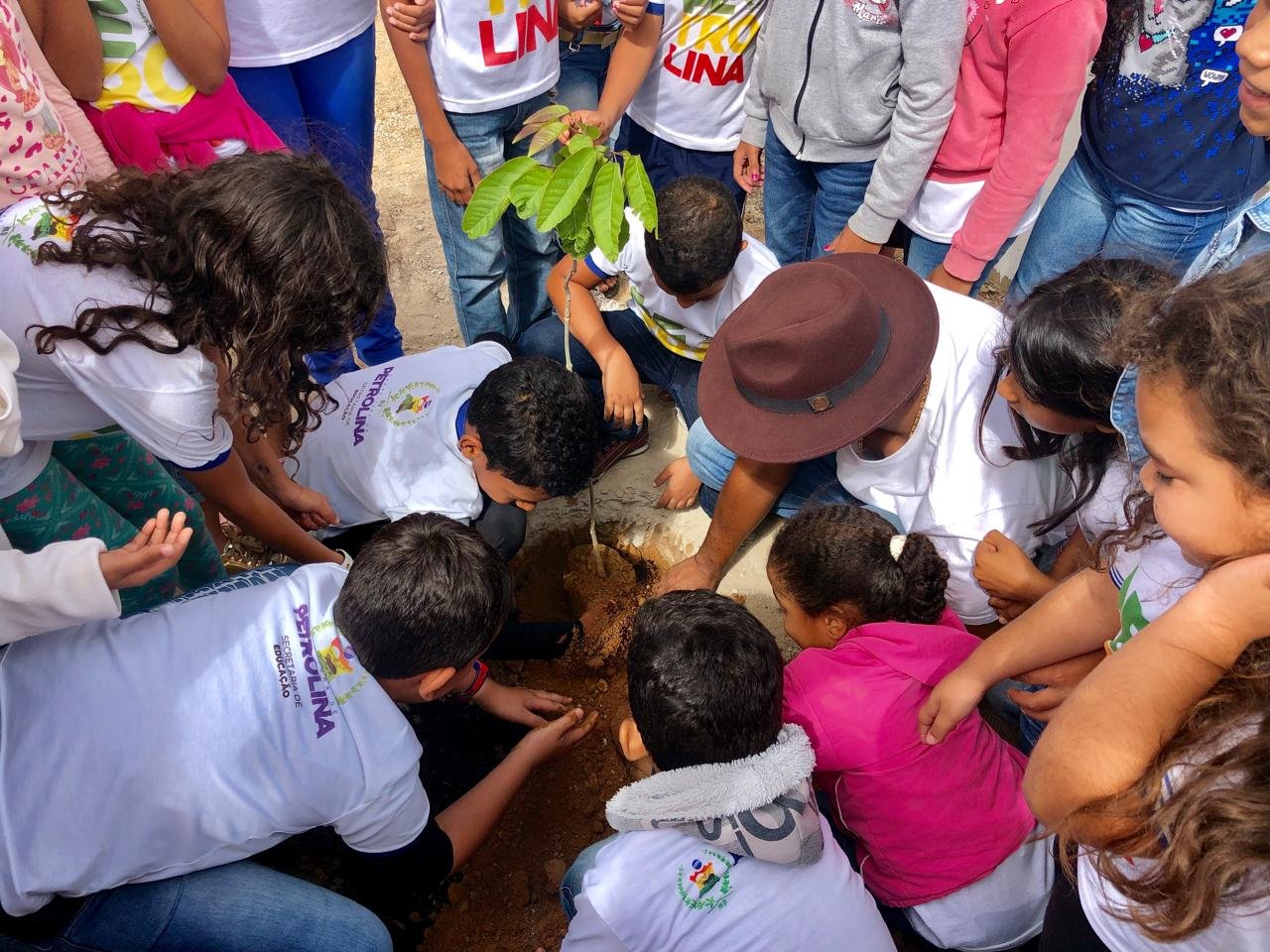 Plantio com crianças